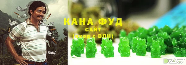 шишки Коряжма