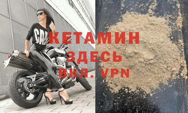 шишки Коряжма