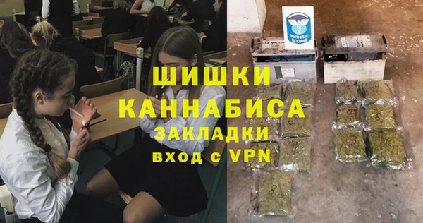 шишки Коряжма