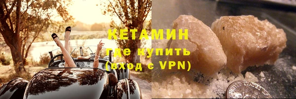 шишки Коряжма