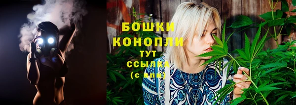 трава Костерёво