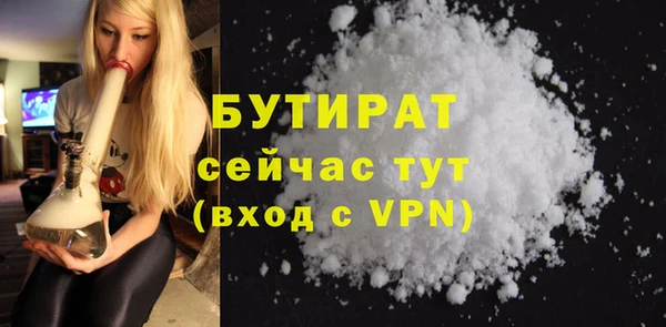 шишки Коряжма